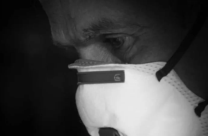 Ciencia, política y después