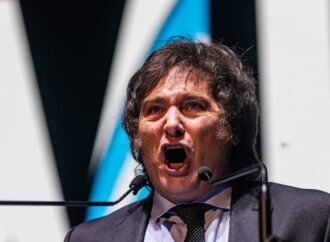 Mandriles, gorilas y la animalización del discurso democrático