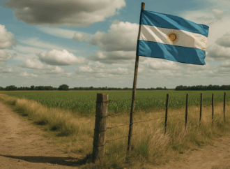 Pensar antes de declarar