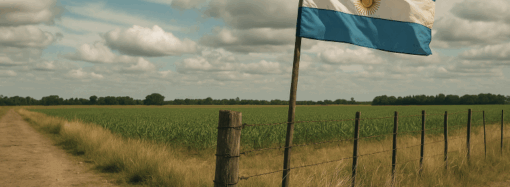 Pensar antes de declarar